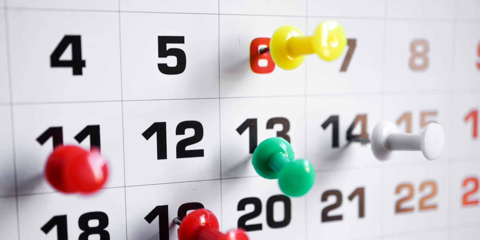 Beißkalender